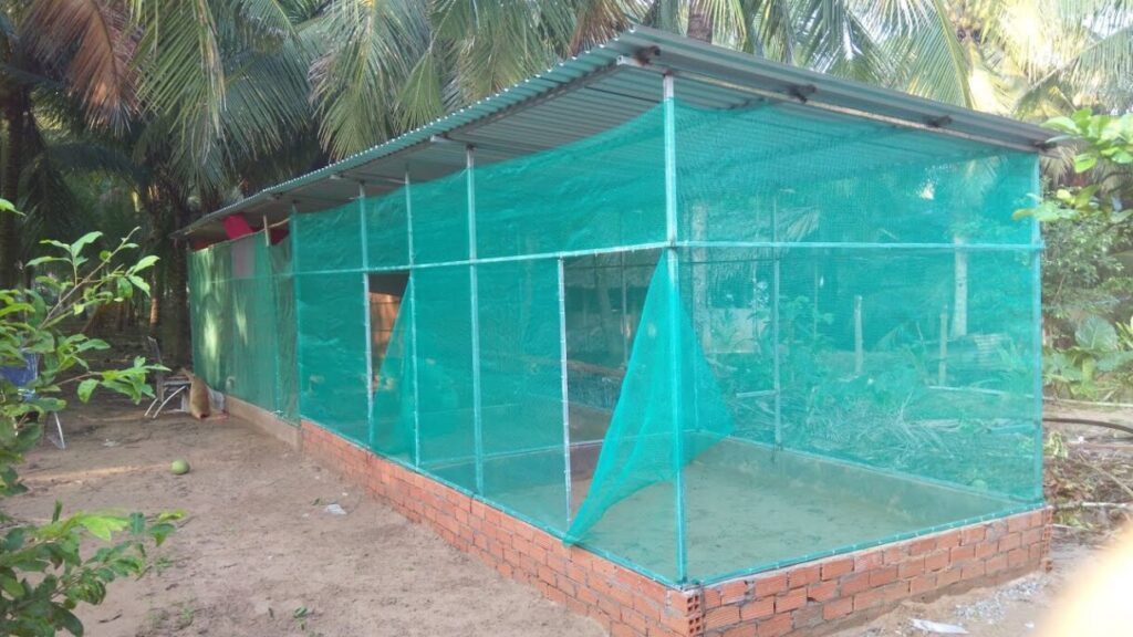 Chuồng trại là yếu tố nắm vai trò rất đặc biệt trong nuôi gà nước