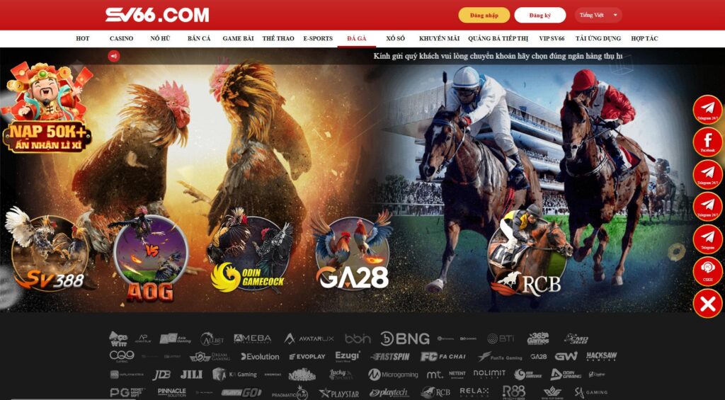 Đá gà Campuchia - Thu hút bởi những trận đấu kịch tính 8 Có nên xem đá gà trực tiếp Campuchia tại hệ thống SV66 không?