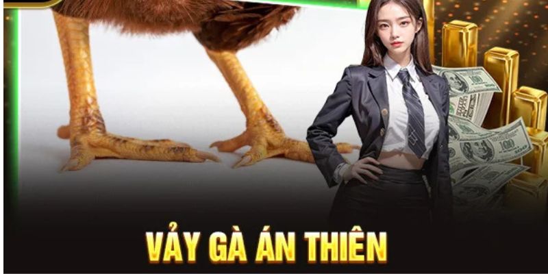 Tìm hiểu về các vảy gà chọi độc hiện nay 7 Vảy án thiên